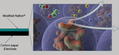 Cell Enzymes