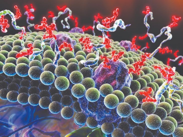 Chem bio desktop seminar (Drug Development Targeting Cancer) Graphic image for Chem Bio desktop seminar