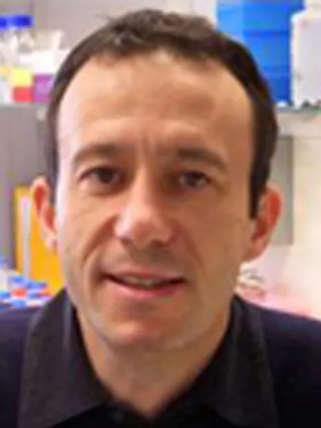 Lino Ferreira